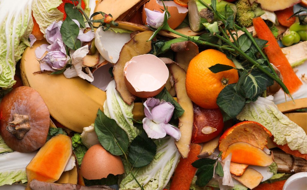 Commercial Food Waste Collection in London